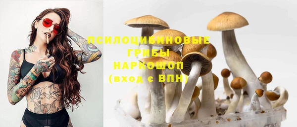 МДМА Карпинск