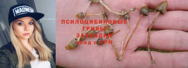 мяу мяу мука Карталы
