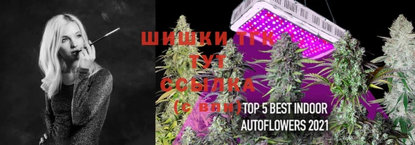 прущие грибы Арсеньев